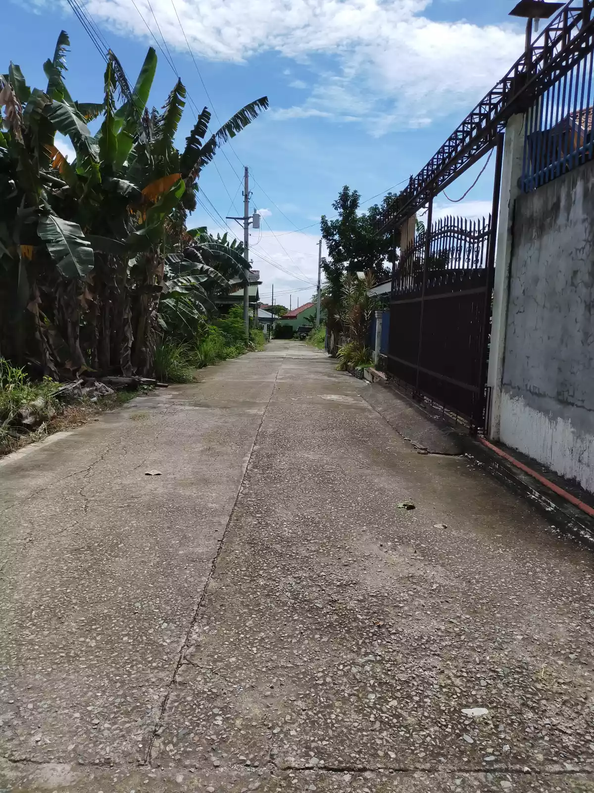 RESIDENTIAL LOT FOR SALE — Residential Lot in Bag ong Daan Road, Liloan, Cebu — Photo 5