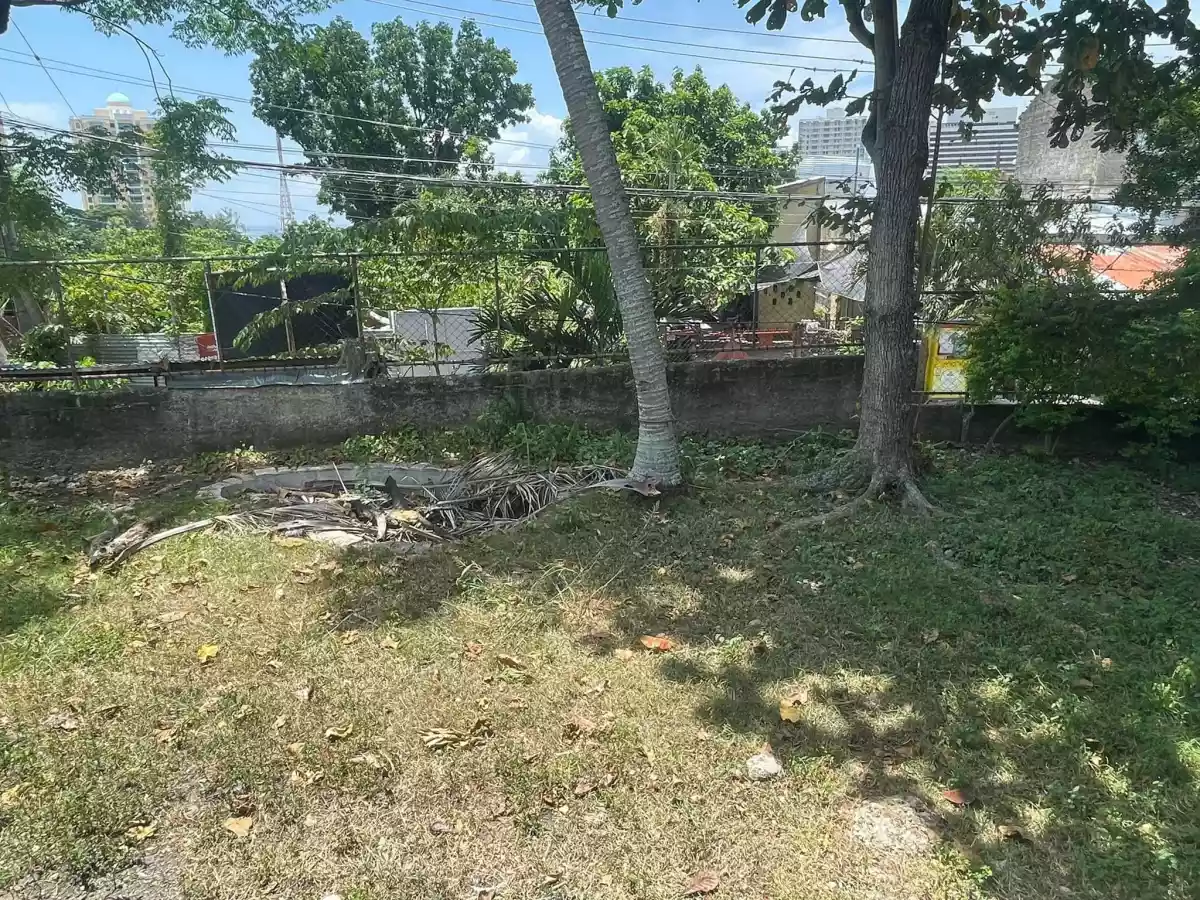 Rush Lot For Sale with House Near City Lights — House and Lot in Apas, Cebu City, Cebu — Photo 5