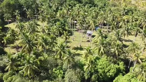 Lot For Sale at Samal — Agricultural Lot in Babak, Island Garden City of Samal, Davao del Norte — Photo 5
