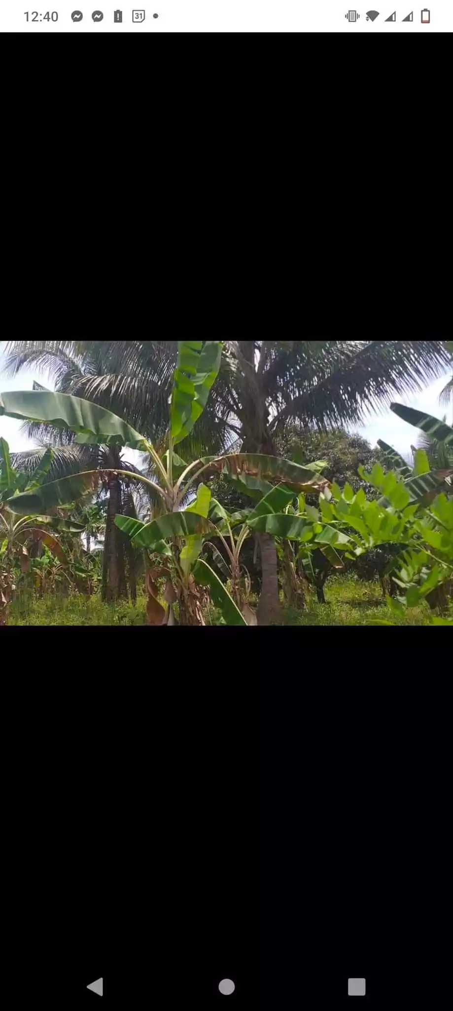 Alabel bagacay lot