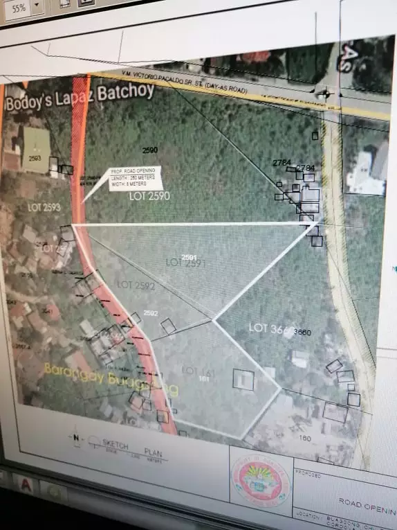 Commercial lot for sale in Cordova at 15,000 per square meter but negotiable. — Commercial Lot in Cordova, Cebu, Philippines — Photo 4