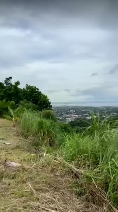 Pacific Heights Subdivision Lot — Residential Lot in Talisay City — Photo 6