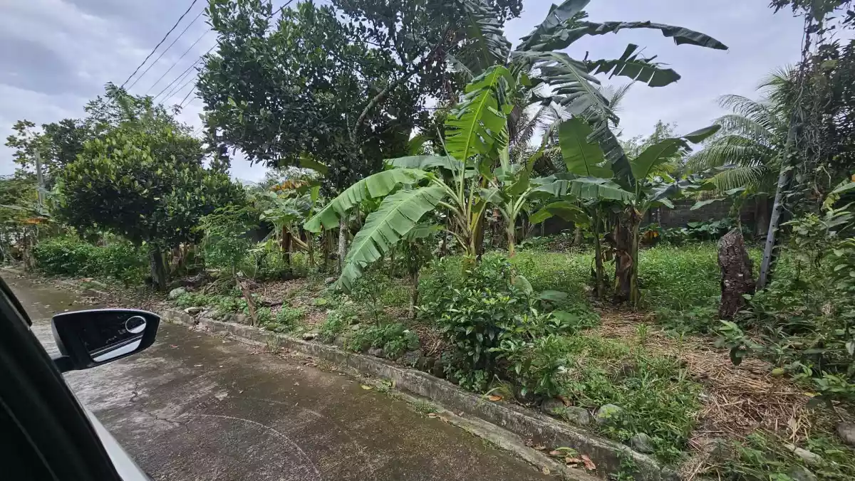 RARE FIND RESIDENTIAL LOT IN CARMELA EXECUTIVE TALISAY CITY  - photo 4