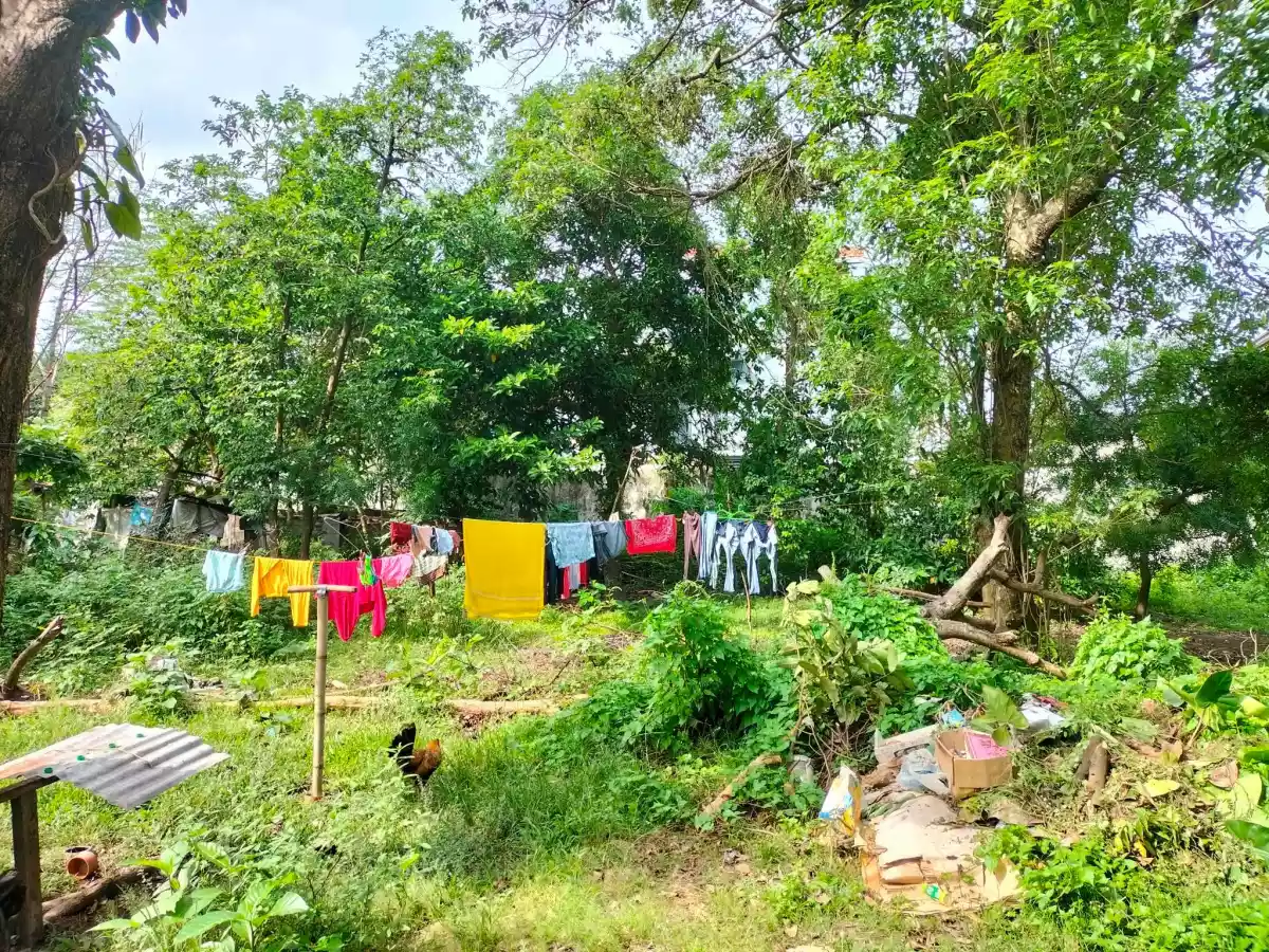 Junob Lot, Dumaguete City — Agricultural Lot in Negros Oriental, Philippines — Photo 5