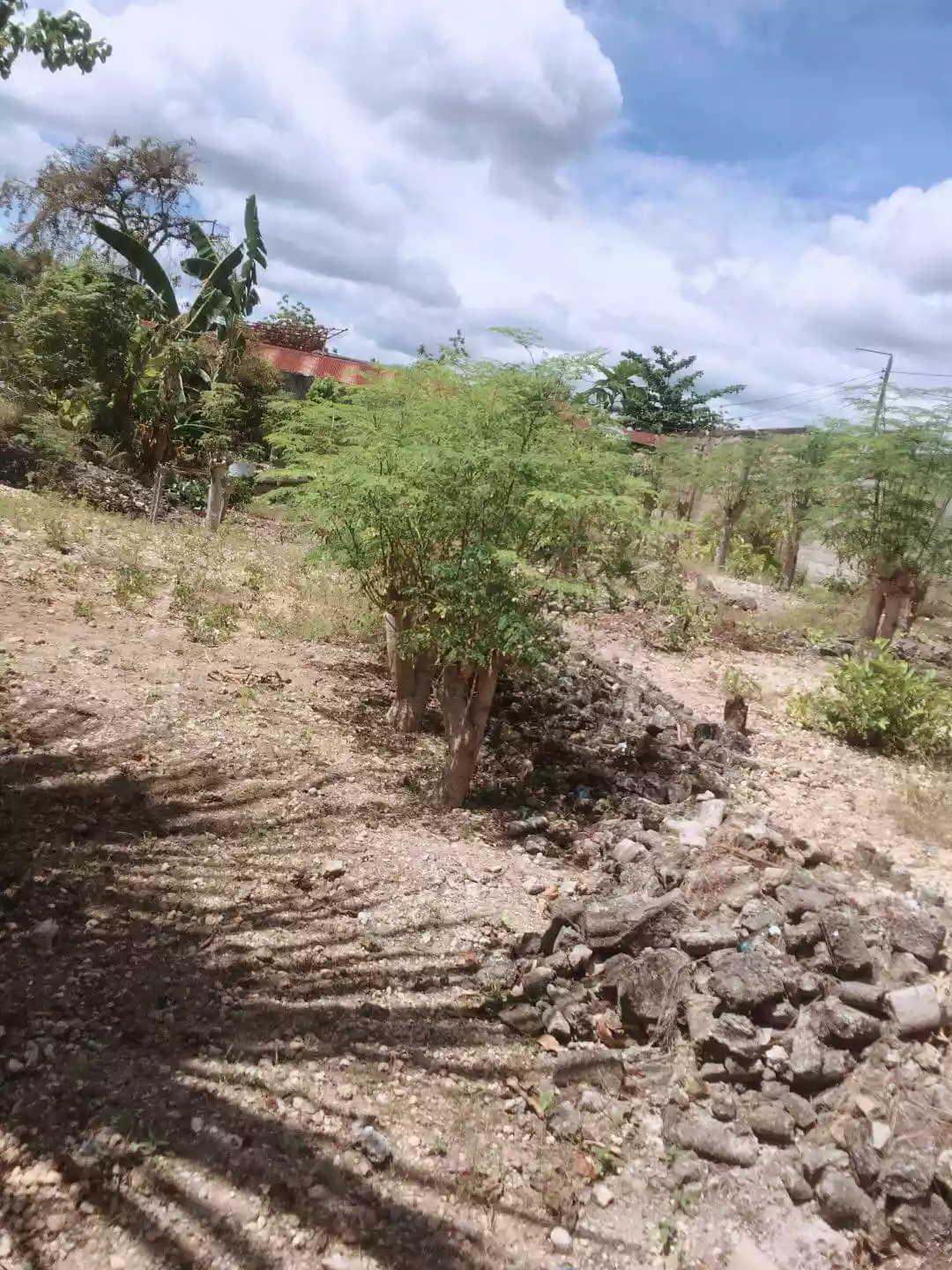 Fenced LOT ONLY FOR SALE — Residential Lot in Cebu, Philippines — Photo 4