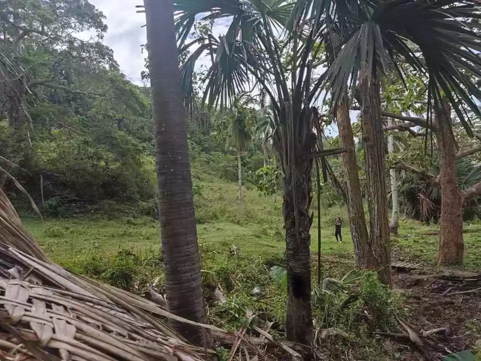 Agriculture Land for sale in Poro, Camotes, Cebu - photo 2