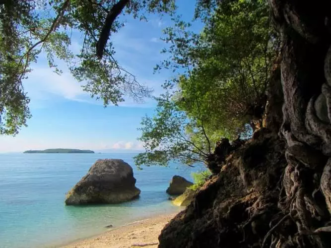 For sale Beach lot in Bangcogon Oslob Cebu  - photo 6
