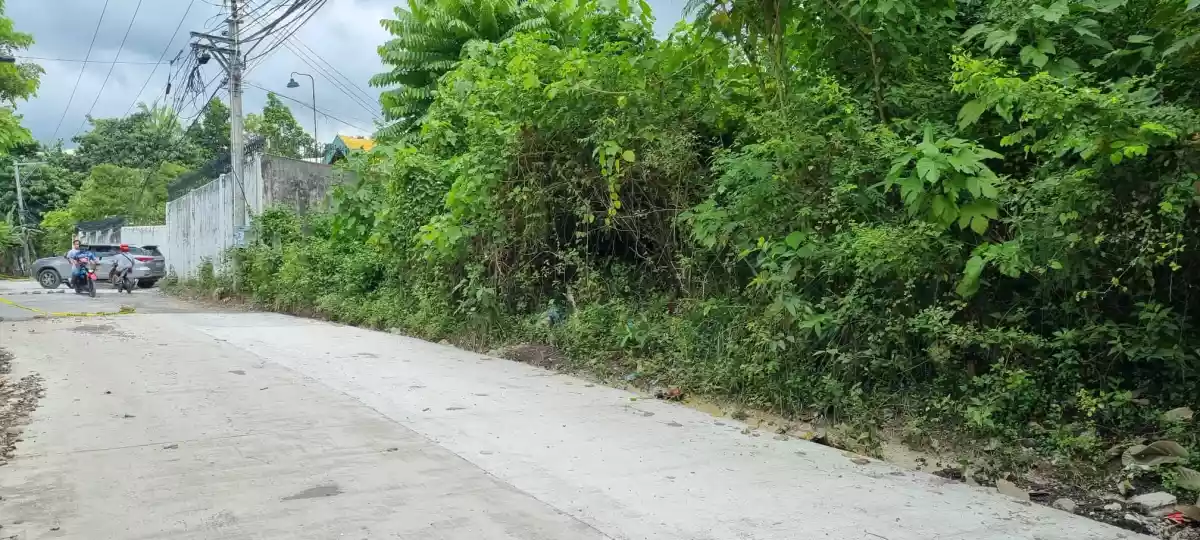 Residential lot sale in Banawa Cebu CIty - photo 5