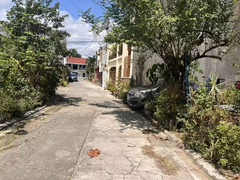 Lot for Sale in Centro Talamban, Cebu City