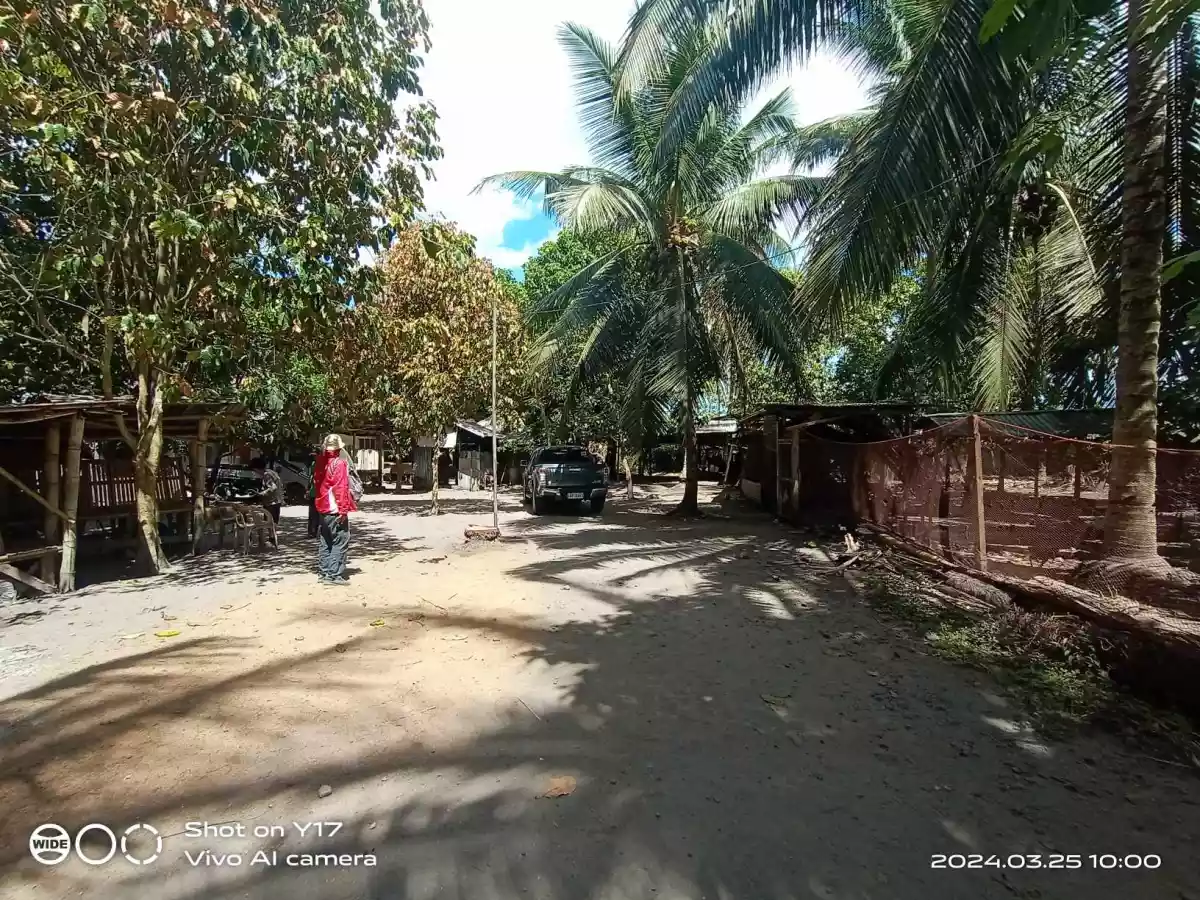 1 HECTARE FOR SALE IN POLOMOLOK — Agricultural Lot in Polomolok, South Cotabato, Philippines — Photo 4