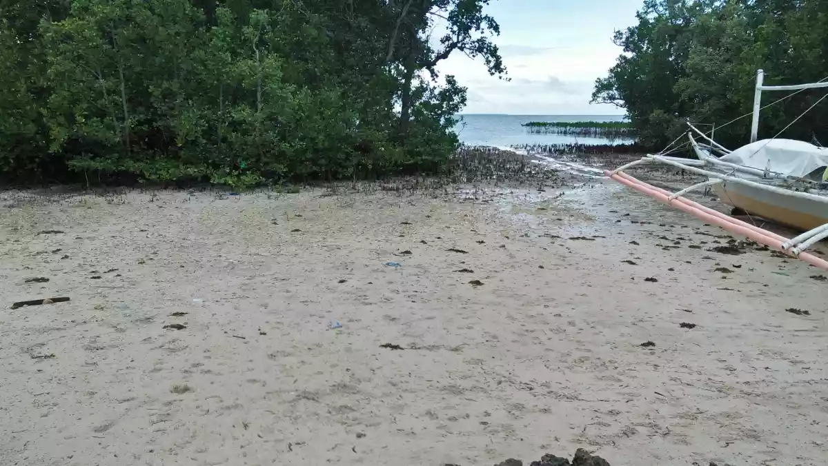 San Remegio Beach Lot for Sale - photo 2