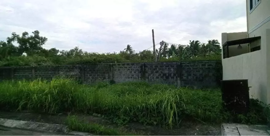 Corona Del Mar Lot for Sale — Residential Lot in Talisay, Cebu, Philippines — Photo 4