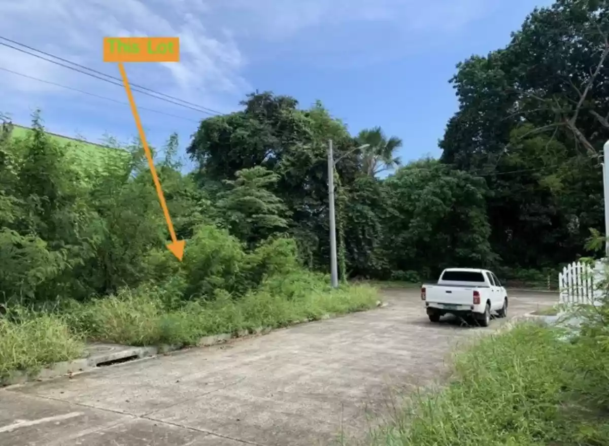 Lot For Sale in Maria Luisa North The Heritage — Residential Lot in Consolacion, Cebu, Philippines — Photo 2