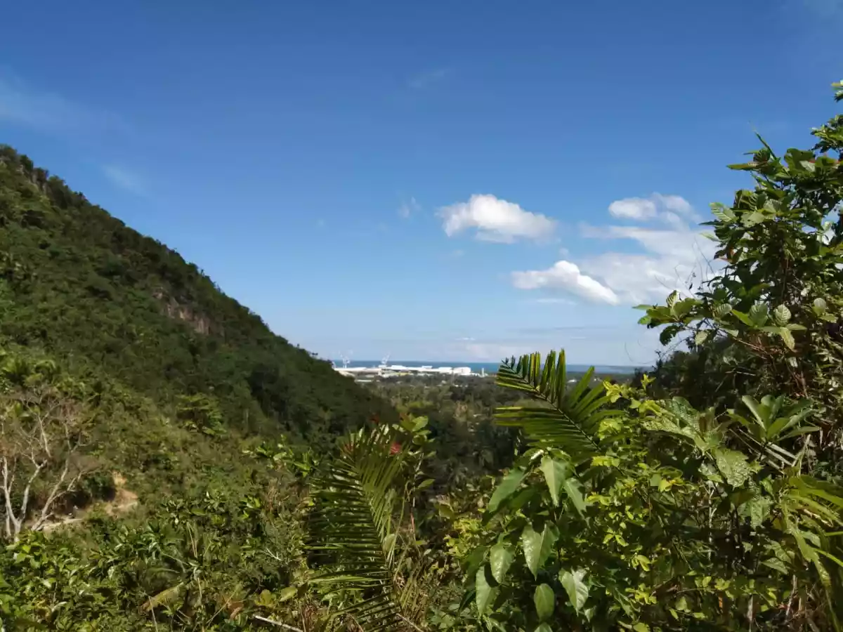 Balamban Property - photo 4