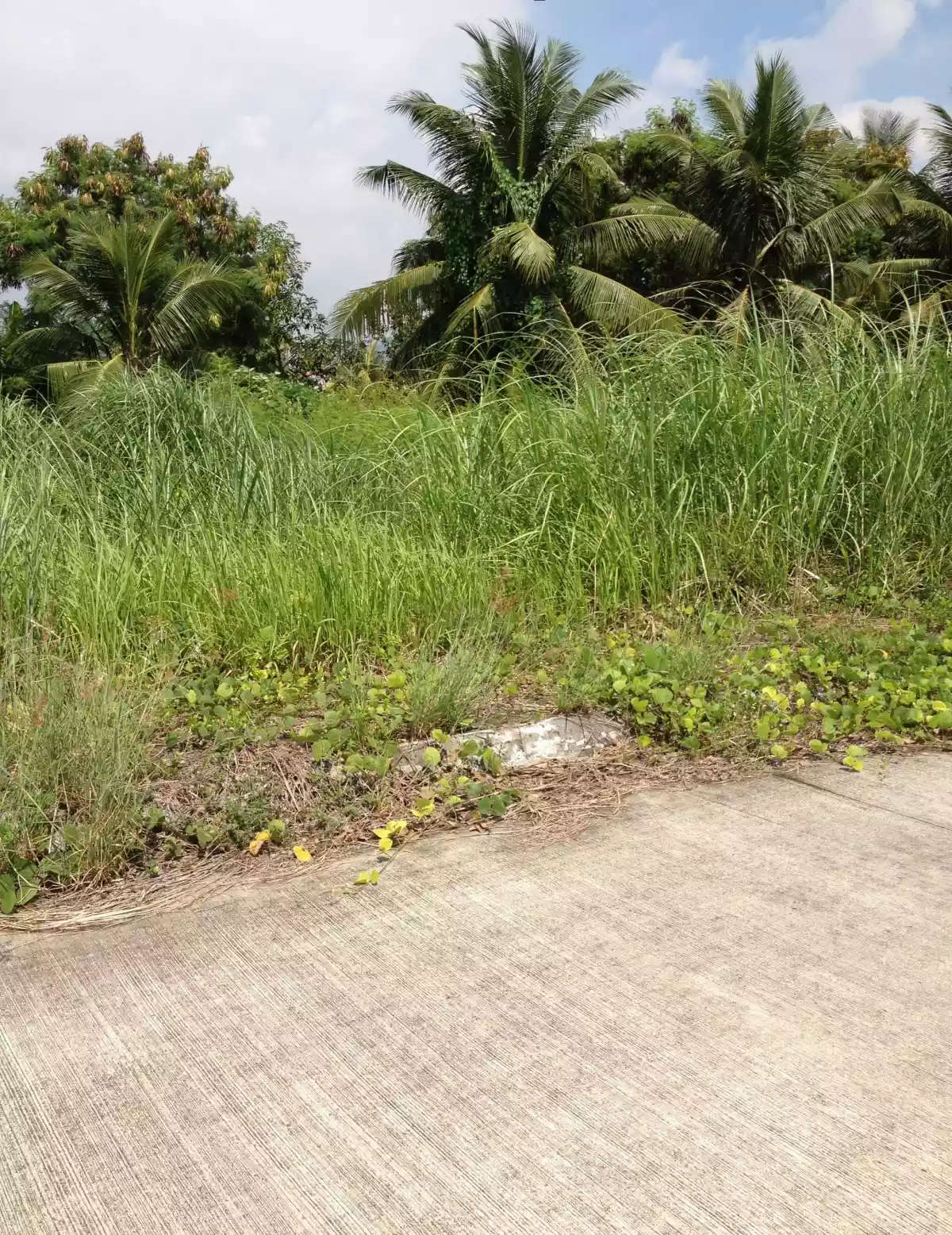 CORONA DEL MAR LOT FOR SALE