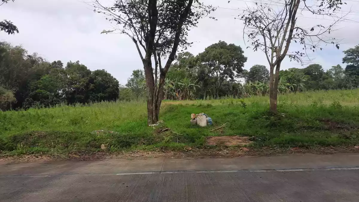 Lot for Sale in Claveria — Agricultural Lot in Misamis Oriental, Philippines — Photo 5