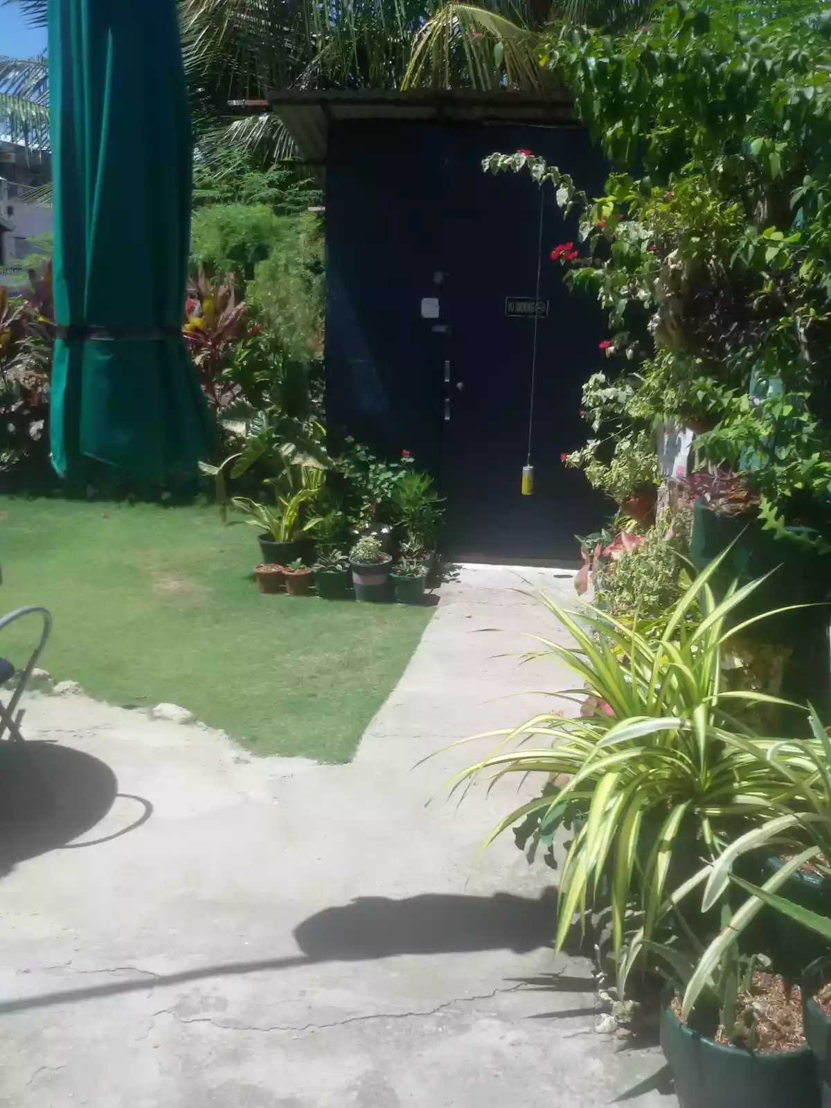 Davidproperty - photo 7