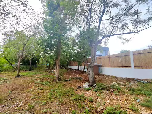 Open photo 13 of 19 — FENCED LOT FOR SALE IN BANKAL, LAPU-LAPU CITY