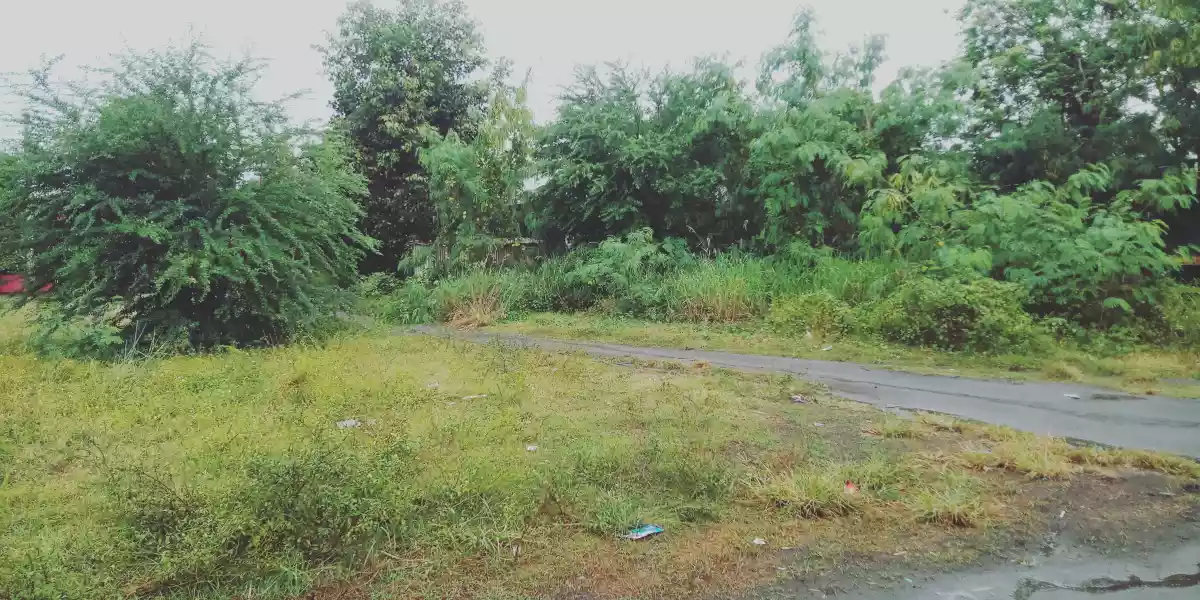 600 sqm Lot in Mabuhay Near Windsor for SALE! - photo 4