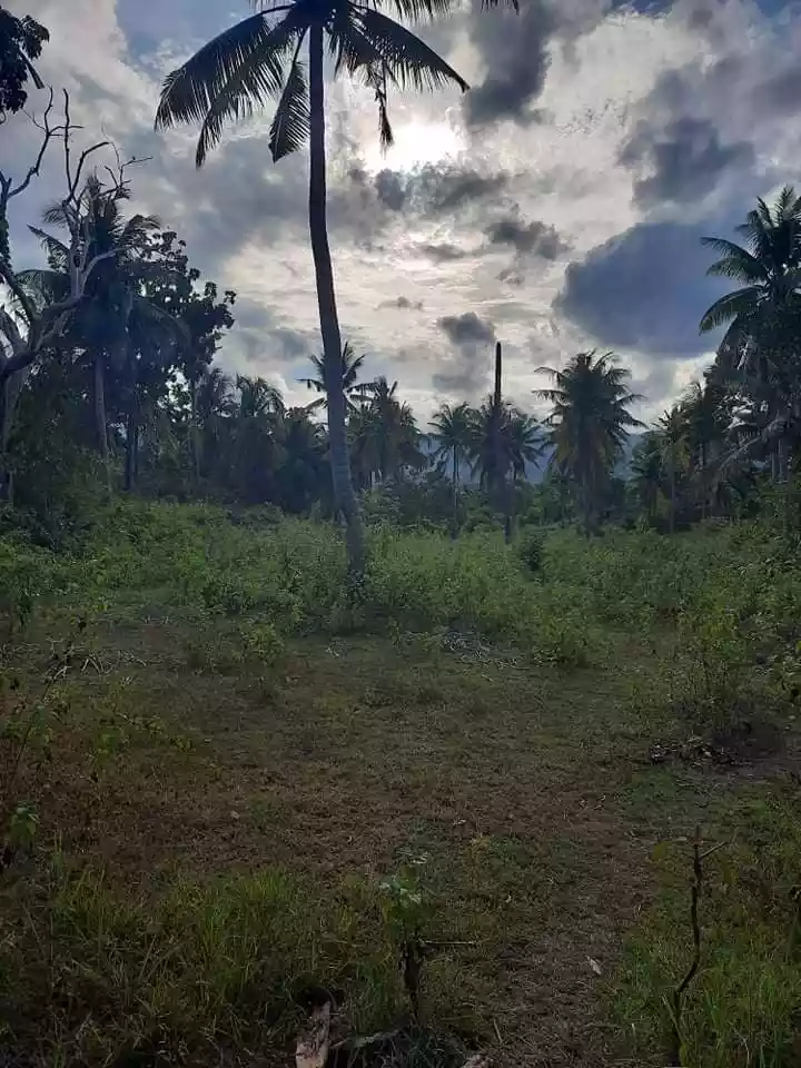 LOT for sale - photo 3