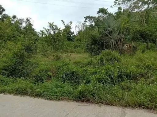 Lot only for sale — Industrial Lot in Consolacion, Cebu, Philippines — Photo 3