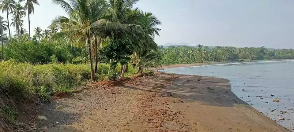 Beachfront  - photo 2