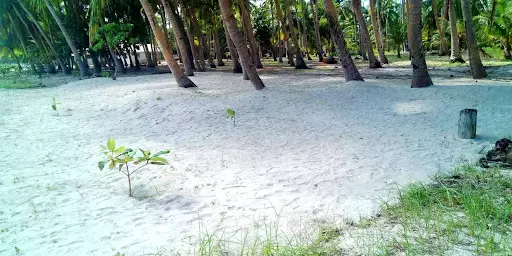 Beach Lot for Sale in Santa Fe, Cebu — Beach Lot in Santa Fe, Cebu, Philippines — Photo 2