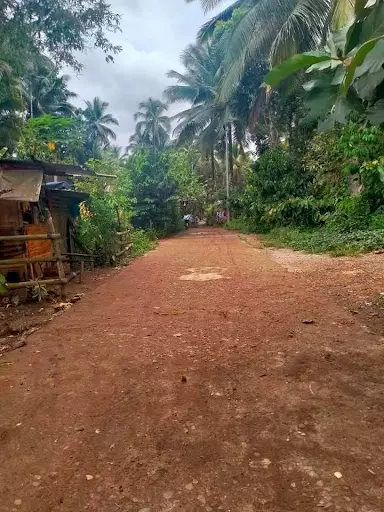 Residential lot for sale — Residential Lot in calinan, Davao City, Davao del Sur — Photo 7