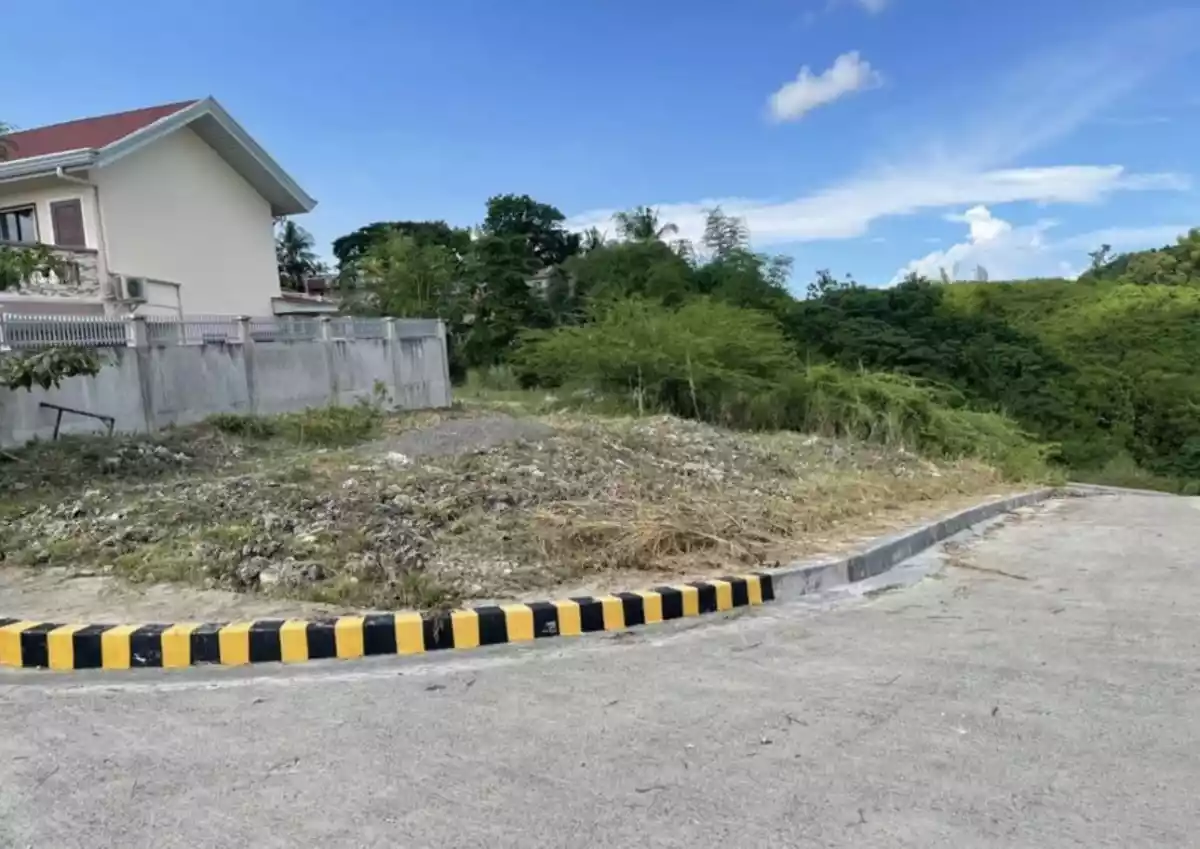 LOT FOR SALE IN VISTA VERDE CONSOLACION - photo 5