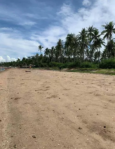 Beach Lot for Sale — Beach Lot in Masbate, Philippines — Photo 2