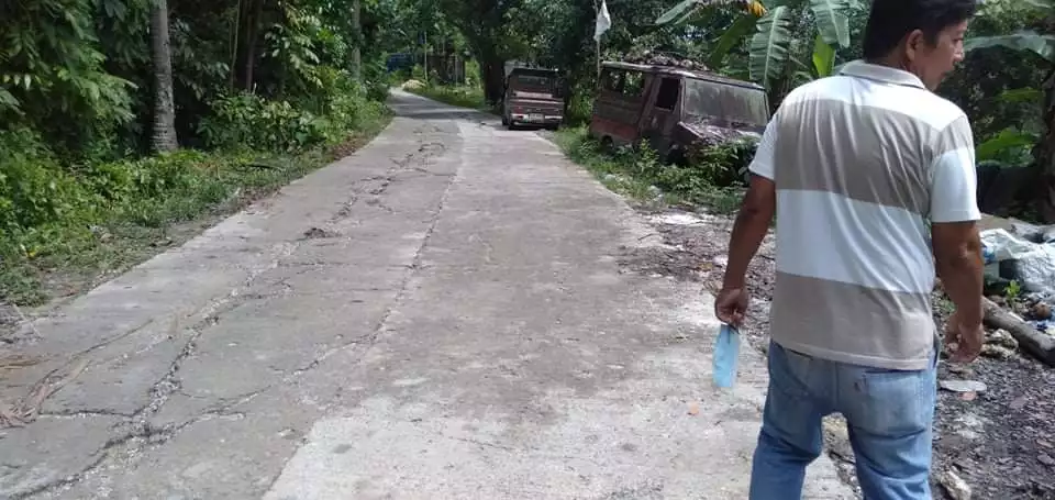 Titled lot — Agricultural Lot in Cebu, Philippines — Photo 5