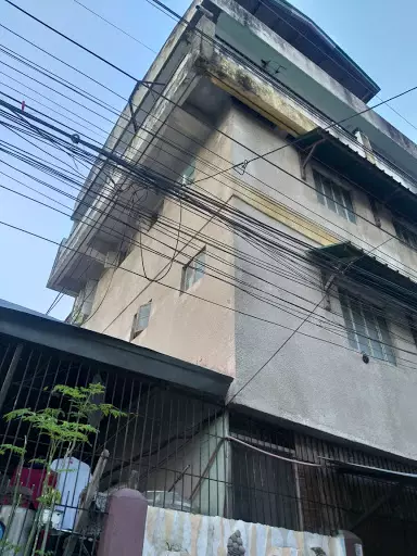 14y-2017022699