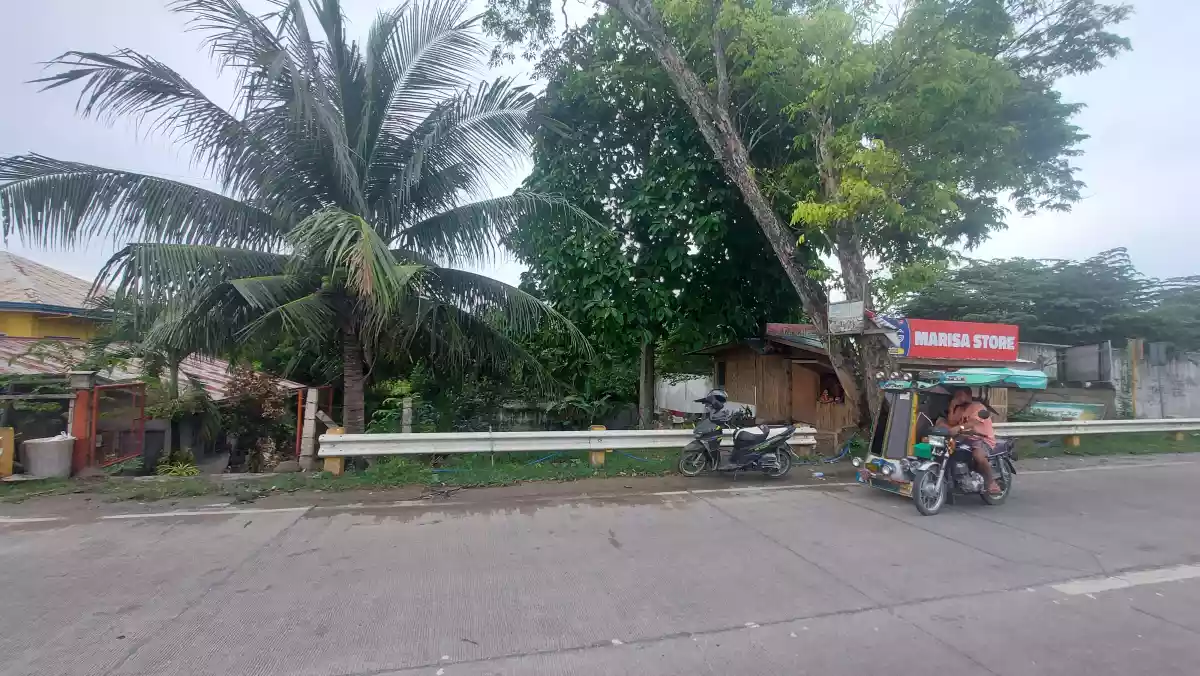 Commercial lot for sale - photo 6