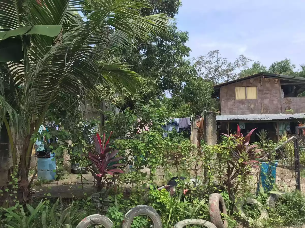 LOT FOR SALE IN POOC TALISAY CITY CEBU - photo 5