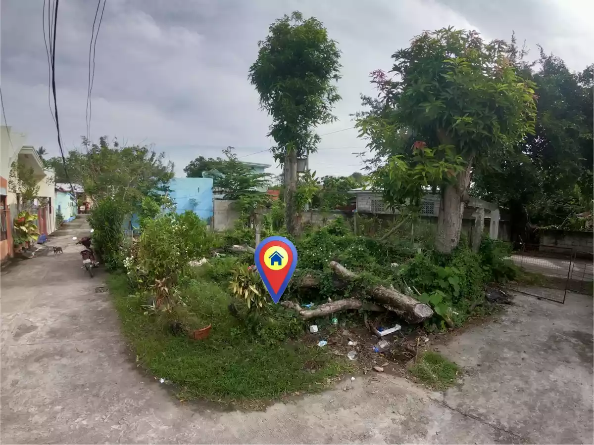 Commercial / Residential Dual Corner Lot For Sale Along Concrete Road at Junob, Dumaguete City — Residential Lot in Dumaguete, Negros Oriental, Philippines — Photo 2