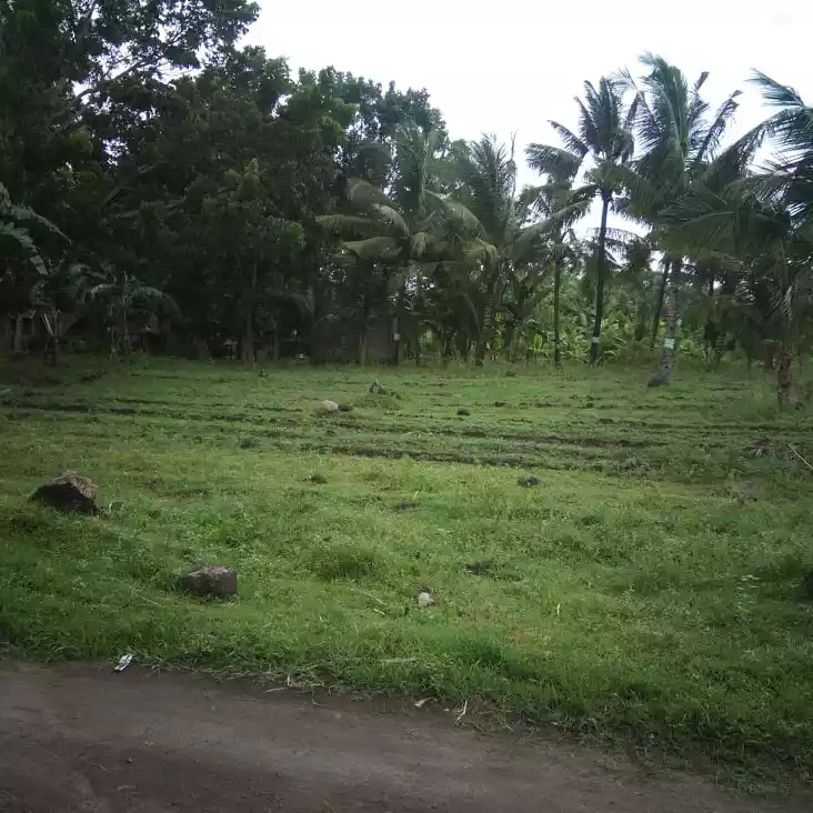 6000 sqm. lot isugan bacong - photo 4