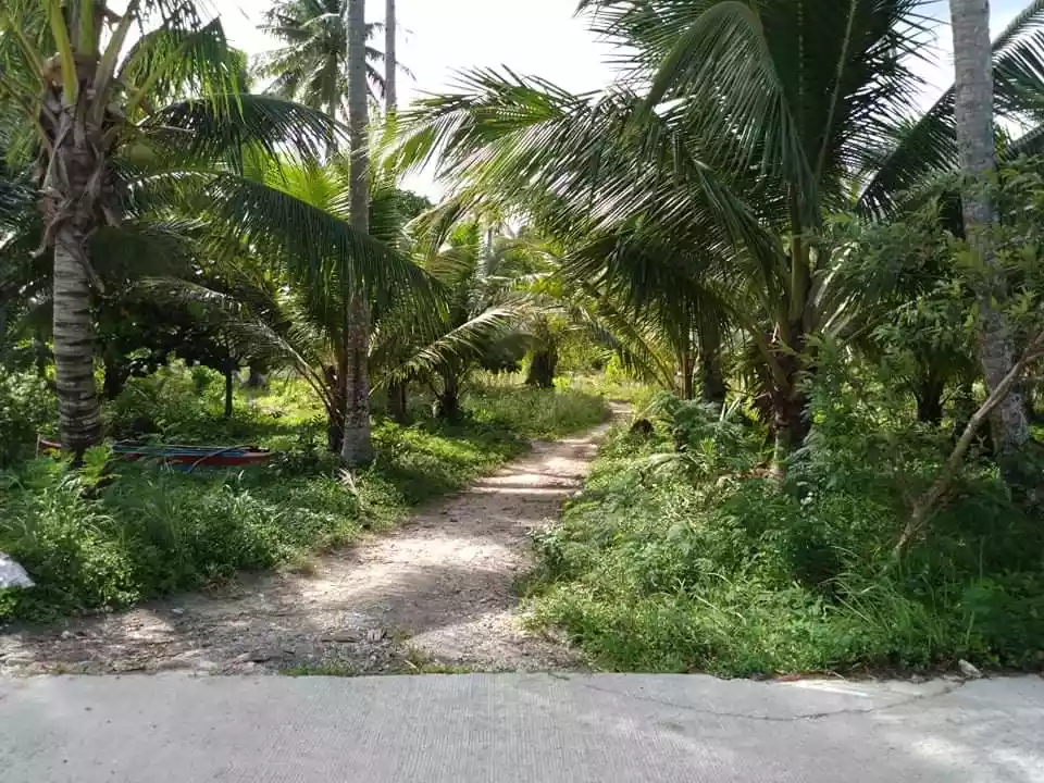 Open photo 12 of 15 — Beach Lot For Sale in Gen. Luna, Siargao Island