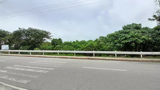 Commercial Lot for sale in Cordova — Commercial Lot in 8WHH+6V6, Lopez Jaena St, Tipolo — Photo 6