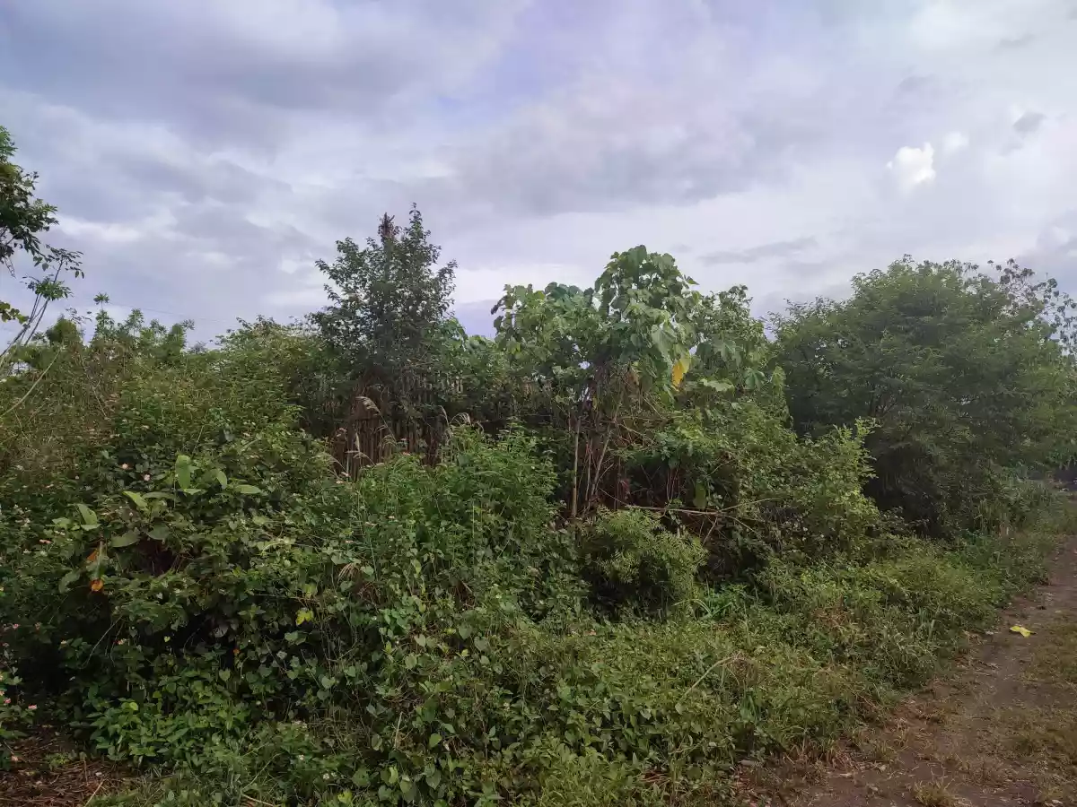 RESIDENTIAL LOT FOR SALE — Residential Lot in General Santos City, South Cotabato, Philippines — Photo 3