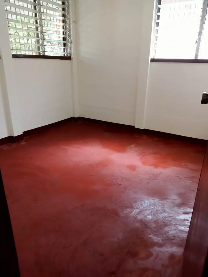 House and Lot in Sibulan, Negros Oriental! - photo 4