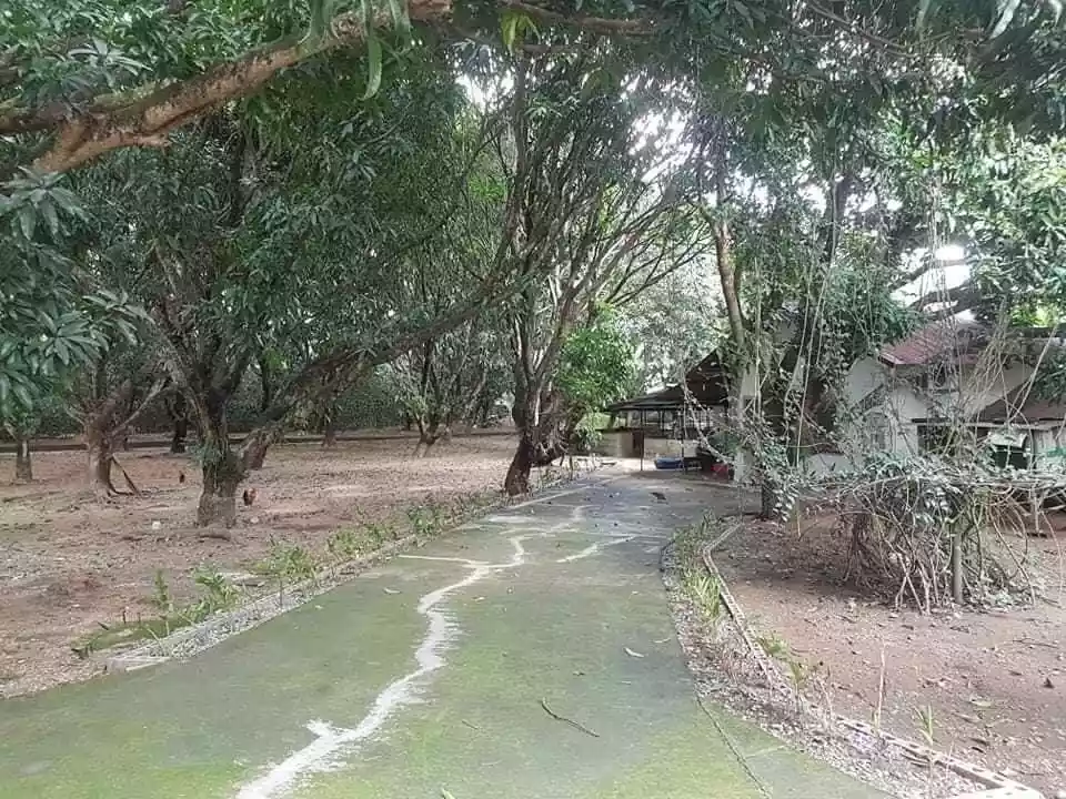 Rush Rush For SALE !!!  COMMERCIAL & RESIDENTIAL Farm land -Sta Maria Bulacan — Commercial Lot in Bulacan, Philippines — Photo 5