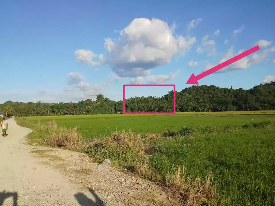 LOT FOR SALE in Sipalay city good for Residential and Inland Resort — Agricultural Lot in Negros Occidental, Philippines — Photo 5