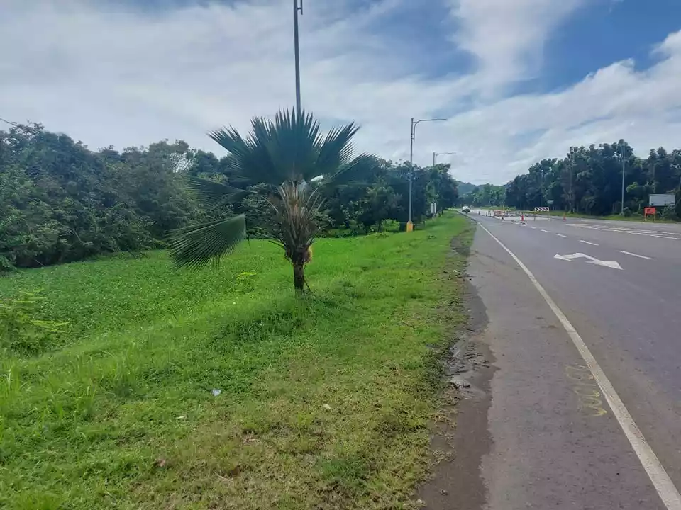 Lot For Sale - photo 4