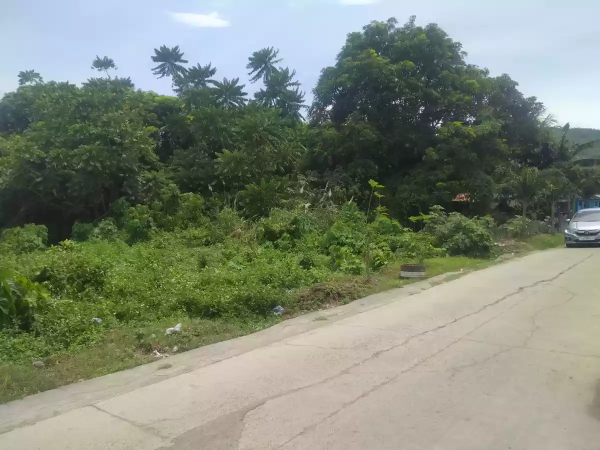 RESIDENTIAL LOT IN TUNGHAAN - photo 4