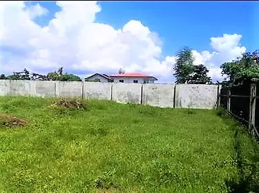 Lot For Lease  in Pajac Lapu-lapu City Cebu - photo 4