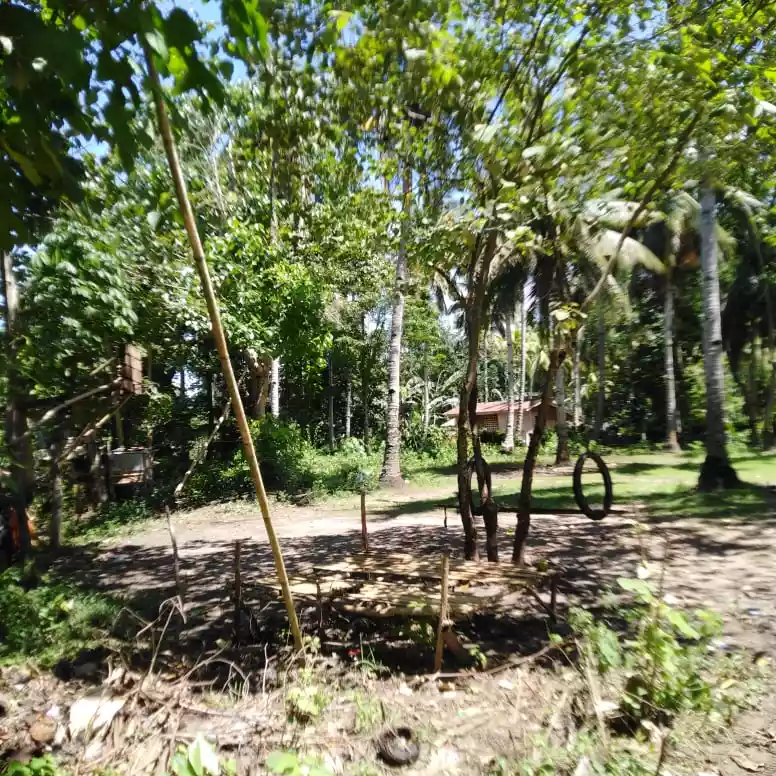 Lot in Toril, Samal - photo 4