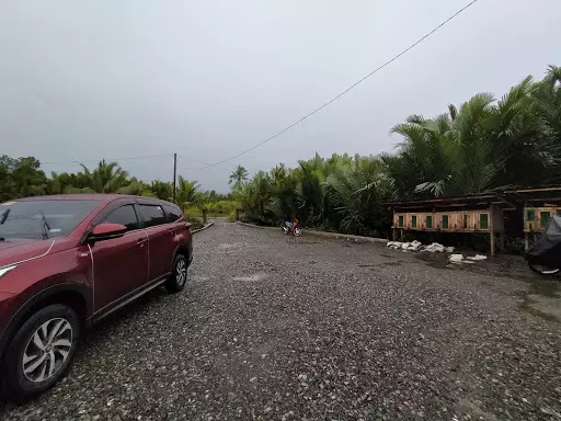 Fishpond with building — Agricultural Lot in Magallanes, Agusan Del Norte, Philippines — Photo 3