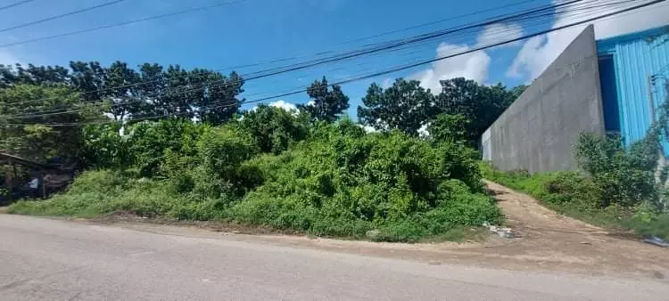 INDUSTRIAL LOT FOR SALE - TAYUD, CONSOLACION - photo 4