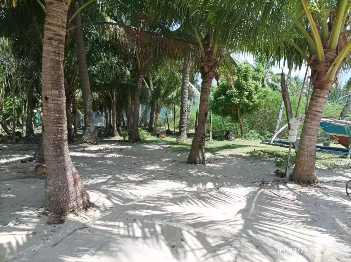 Titled White Sand Beach Lot in Bantayan Island — Beach Lot in Philippines — Photo 6