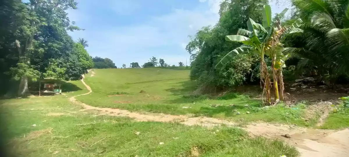 LOT ONLY with BEAUTIFUL VIEW — Agricultural Lot in Cebu, Philippines — Photo 4